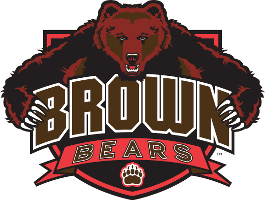 Brown Bears 2003-2011 Alternate Logo diy fabric transfer